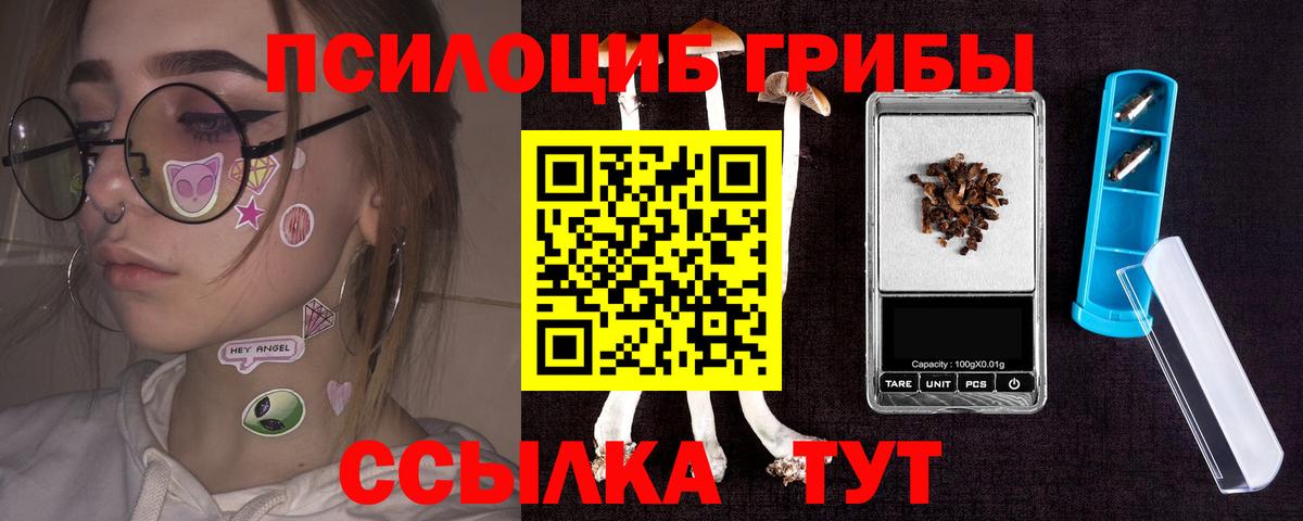 Псилоцибиновые грибы прущие грибы  Вход с VPN  Гусев 